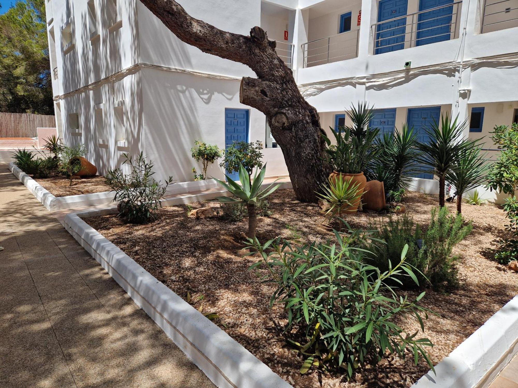 Apartamentos Costamar II Es Pujols Ngoại thất bức ảnh